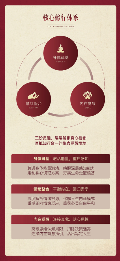 【久美师线上年订阅】生命觉醒·合光禅层级修法体系